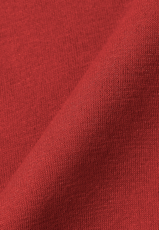 SHEER CREW NECK KNIT 詳細画像 Red 7