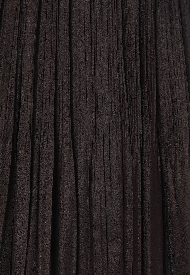 ORGANDY PLEATS SKIRT 詳細画像 Brd 5