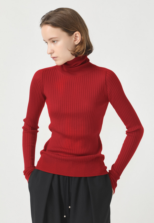 WOOL RIB TURTLE KNIT 詳細画像 Red 1