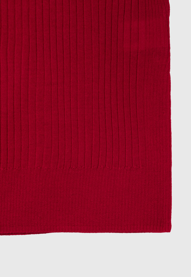 WOOL RIB TURTLE KNIT 詳細画像 Red 9