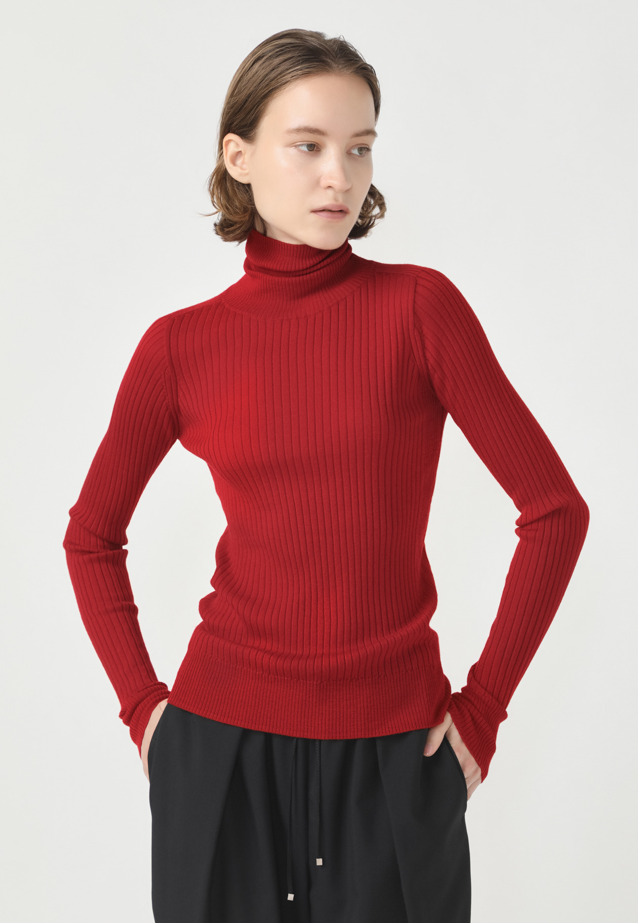 WOOL RIB TURTLE KNIT 詳細画像 Red 2