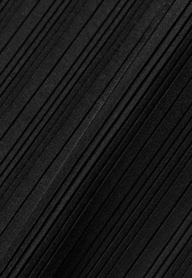 ORGANDY PLEATS SKIRT / オーガンジープリーツスカート 詳細画像 Black 5
