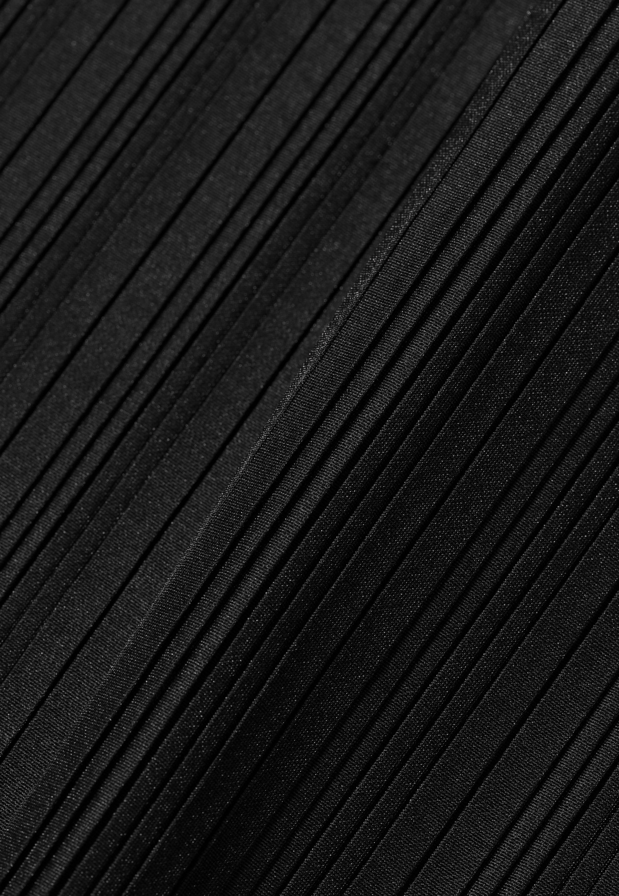 ORGANDY PLEATS SKIRT / オーガンジープリーツスカート 詳細画像 Black 5