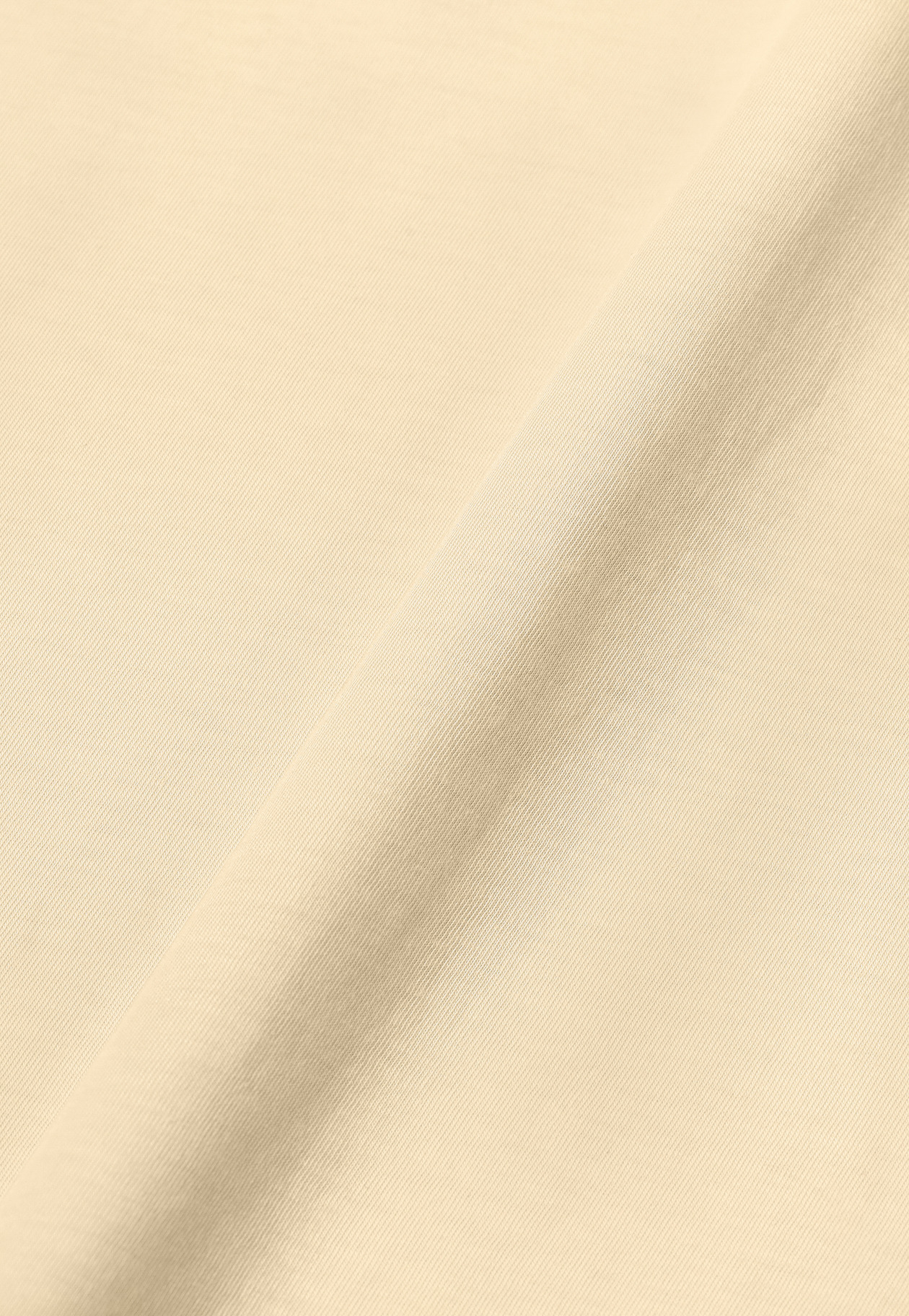 JERSEY CREW NECK T-SHIRT / ジャージークルーネックTシャツ 詳細画像 Beige 2