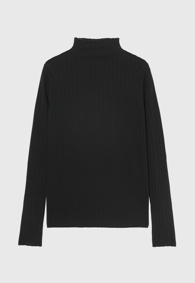HIGH GAUGE RIB TURTLE NECK / ハイゲージリブタートルネック 詳細画像 Black 1