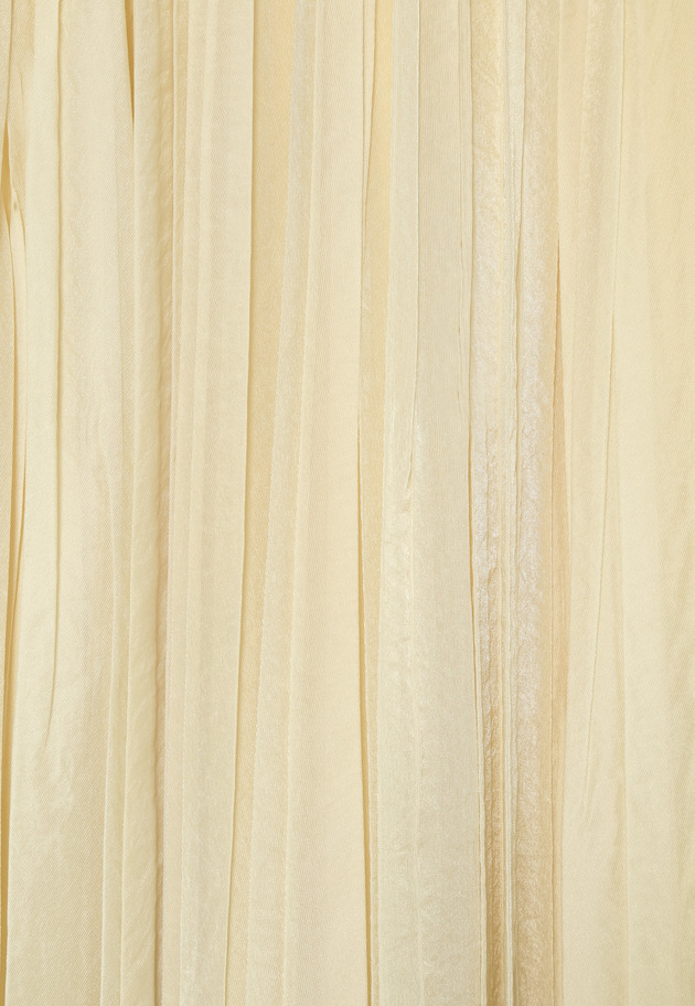 ORGANDY PLEATS SKIRT 詳細画像 Beige 8