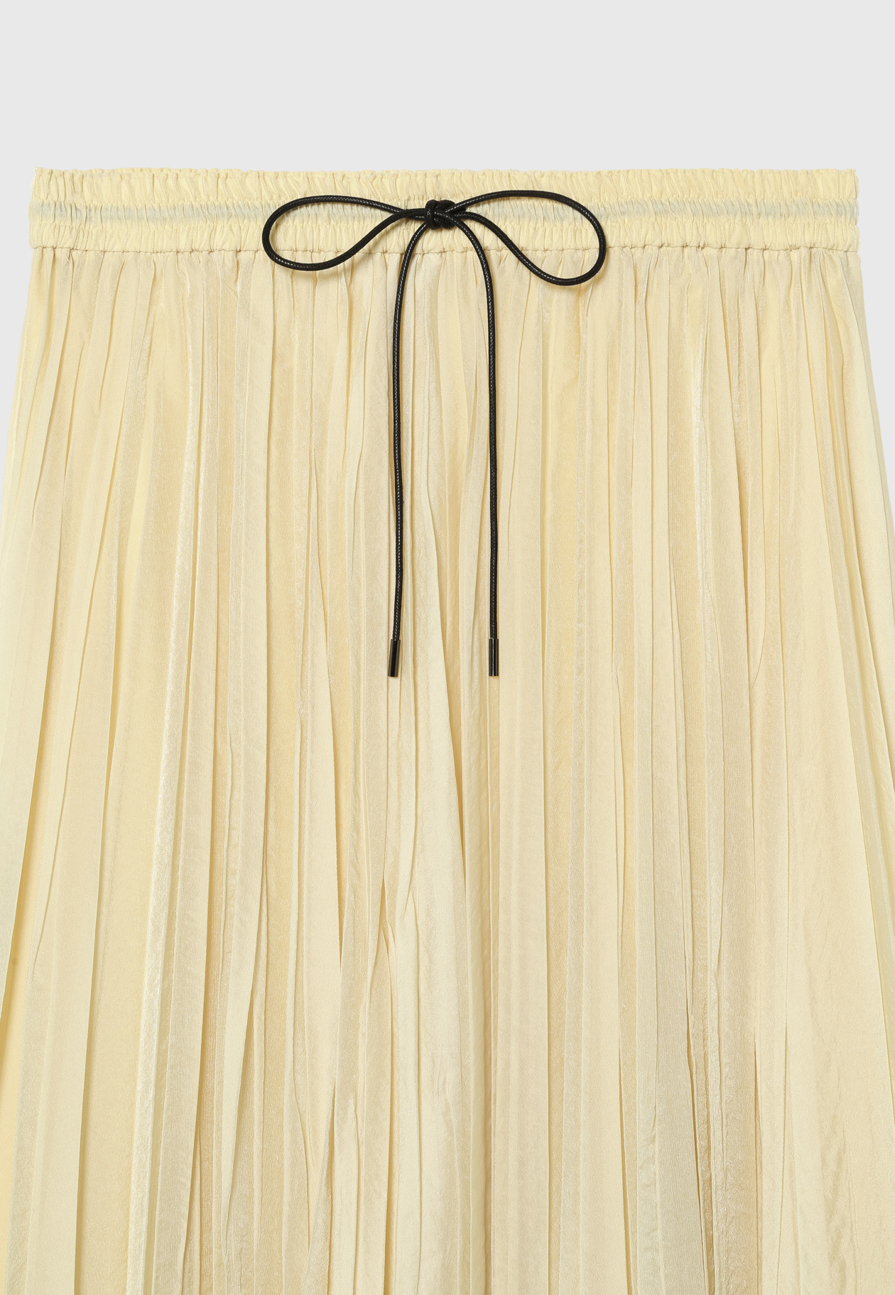 ORGANDY PLEATS SKIRT 詳細画像 Beige 6