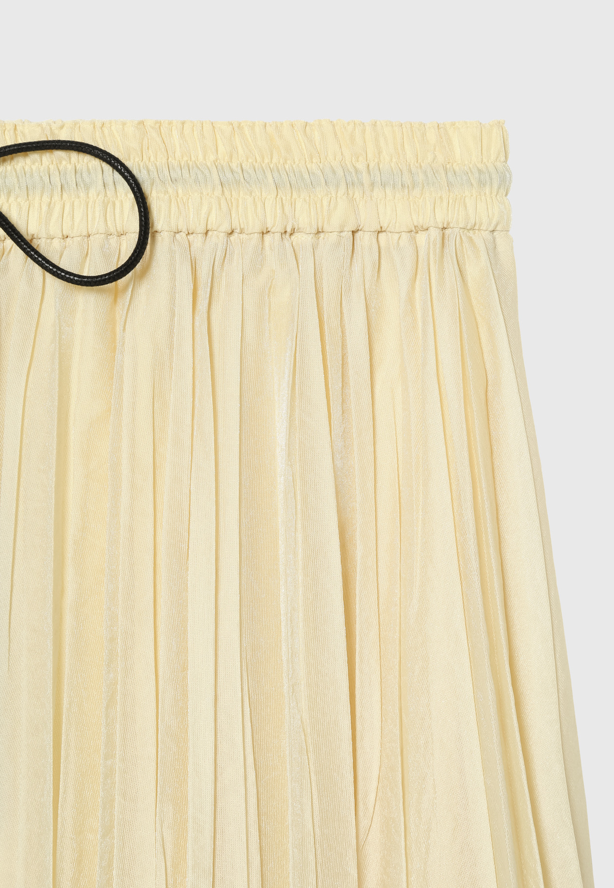 ORGANDY PLEATS SKIRT 詳細画像 Beige 7