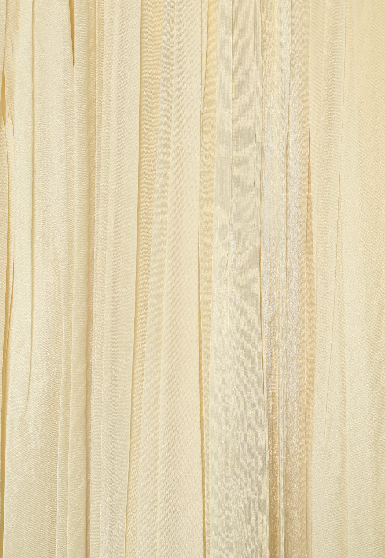 ORGANDY PLEATS SKIRT 詳細画像 Beige 8