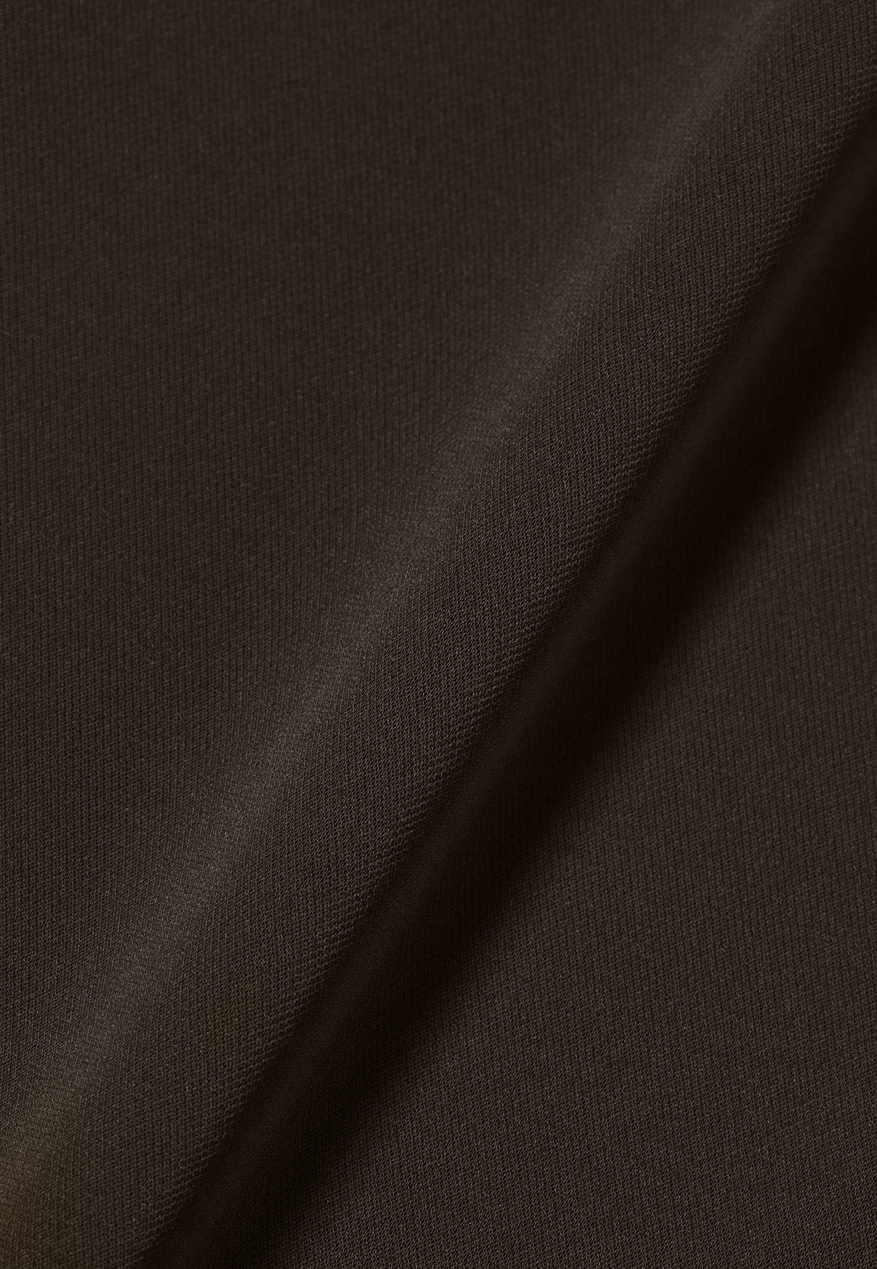 TRIACETATE JERSEY BIG TEE / トリアセテートジャージービッグT 詳細画像 Brown 7