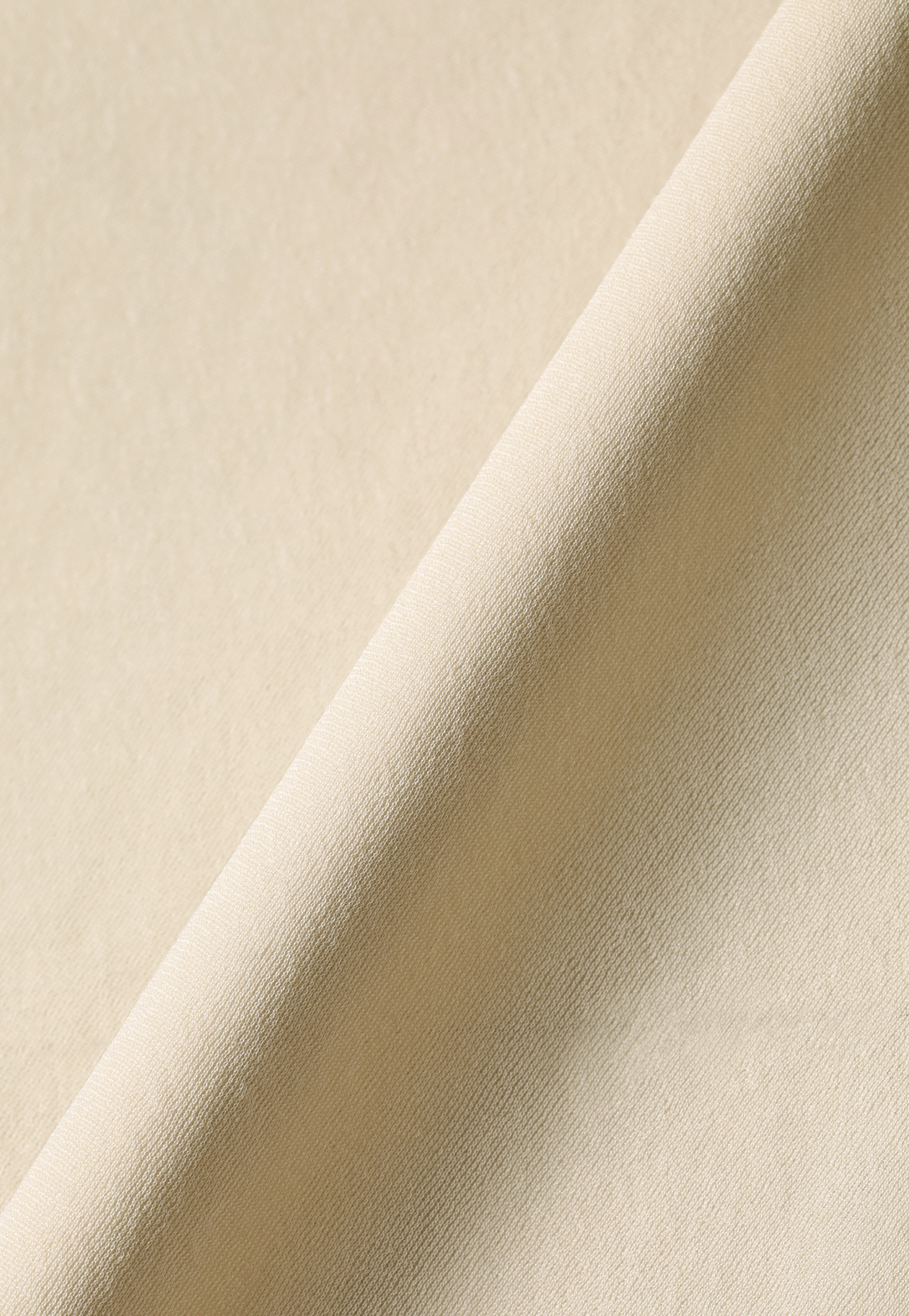 CHIFFON HIGH NECK / シフォンハイネック 詳細画像 Beige 2