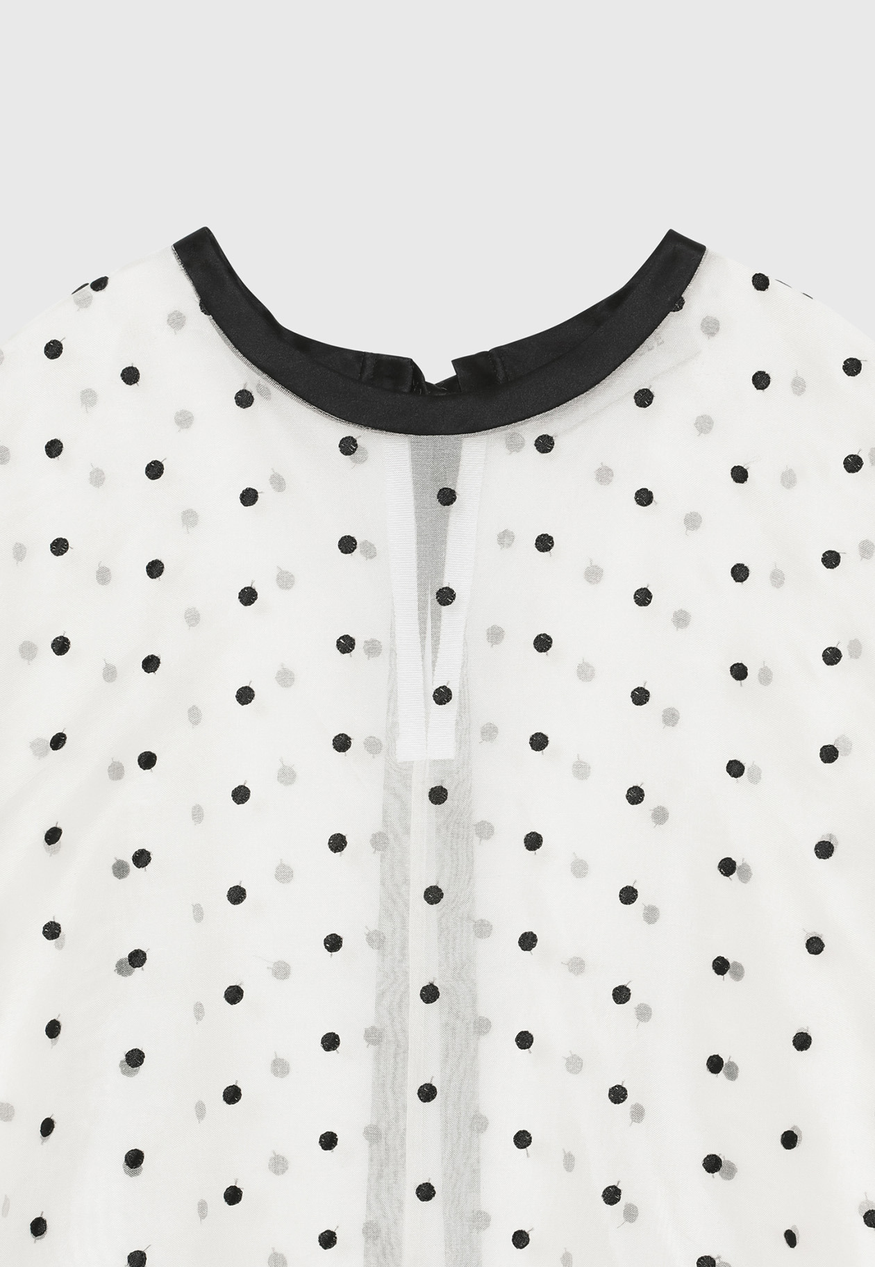 DOT ORGANDY SHORT SLEEVE BLOUSE / ドットオーガンジーショートスリーブブラウス 詳細画像 White 3