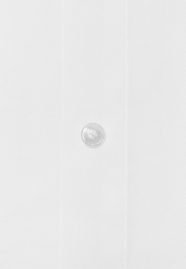 RAMIE TWILL REGULAR COLLAR SHIRT / ラミーツイルレギュラーカラーシャツ 詳細画像 White 2