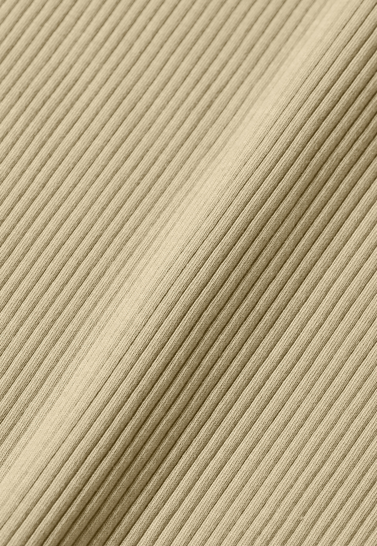 ORGANIC COTTON RIB TANK TOP / オーガニックコットンリブタンクトップ 詳細画像 Beige 2