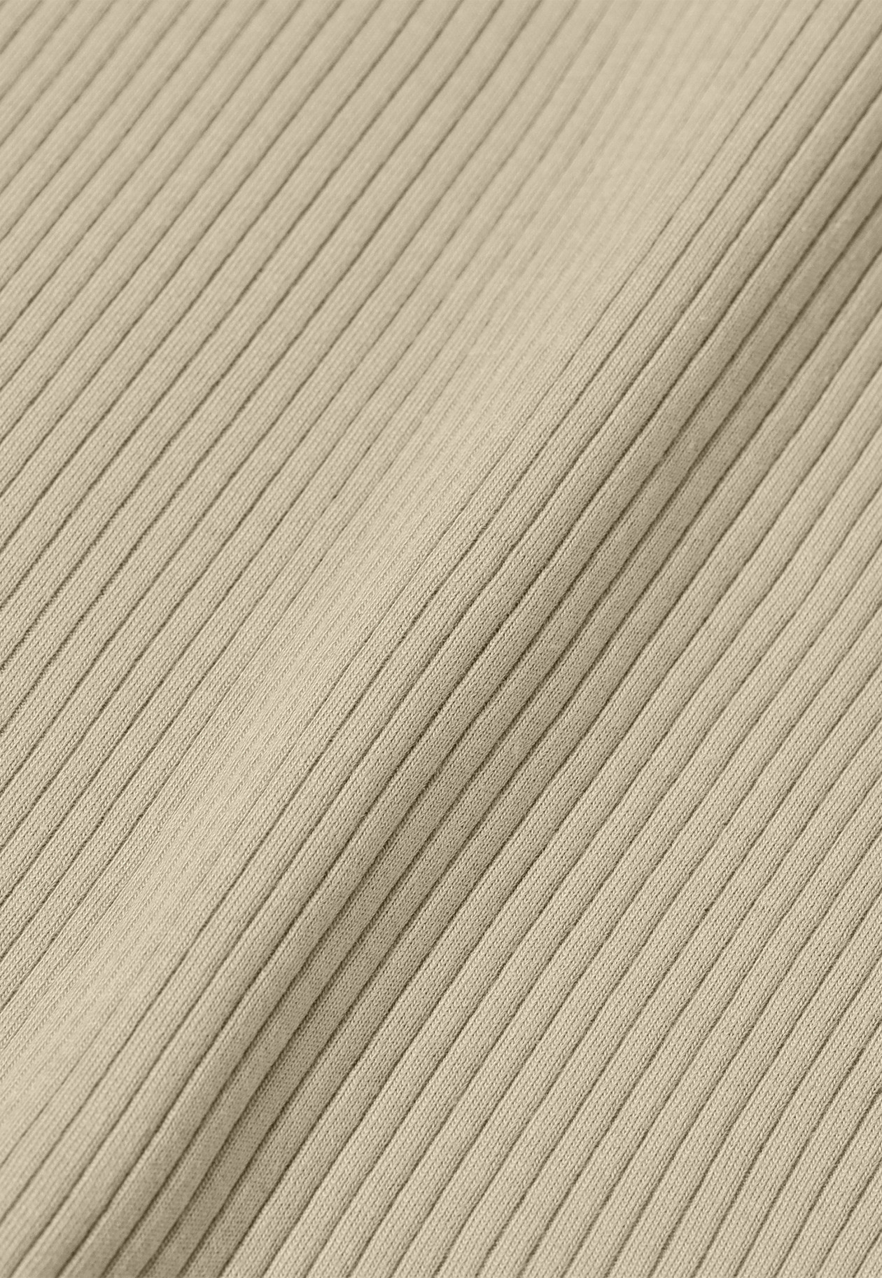 ORGANIC COTTON RIB HENRY NECK / オーガニックコットンリブヘンリーネック 詳細画像 Beige 2